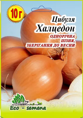 Eco-semena. Семена Лук Чернушка Халцедон однолетний, 10 г (ID#681447861),  цена: 25 ₴, купить на Prom.ua