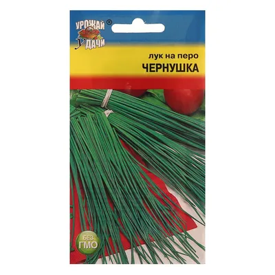 Семена Лук на перо \"ЧЕРНУШКА\",0,5 гр (6481882) - Купить по цене от 21.70  руб. | Интернет магазин SIMA-LAND.RU