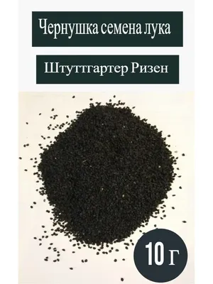 Моя рассада Лук Чернушка Штутгартер Ризен Семена лука