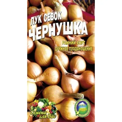 Купить Лук Чернушка пакет 500 семян с удобной доставкой и оплатой товара
