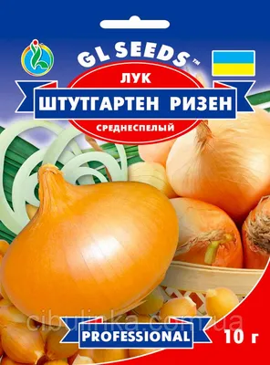 Семена Лук Чернушка Штутгартен Ризен F1 однолетний, 10 г Gl Seeds  (ID#681447862), цена: 20 ₴, купить на Prom.ua