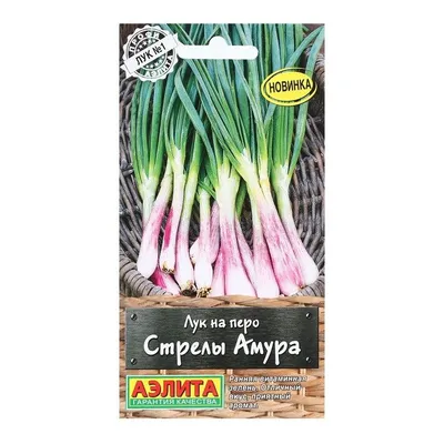 Seminte de ceapa, семена лука(чернушка)