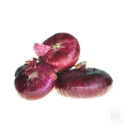 Продам семена лука сорт штутгарт, Одесская обл — Agro-Ukraine