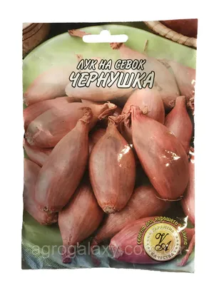 Лук репчатый (чернушка) Ялтинский за 1 г - купить в Украине —  интернет-магазин СолнцеСад