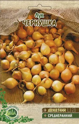 Лук чернушка (вес 10 г.) (в упаковке 10 шт) - купить по лучшей цене в  Харькове от компании \"Интернет магазин \"Семена - ВИА\". Оптовый магазин  семян.\" - 348446065