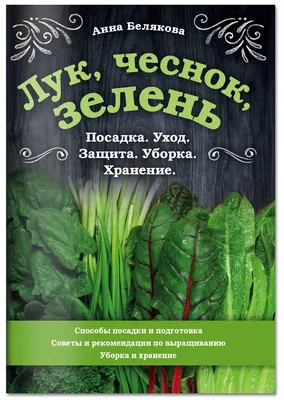 Чеснок и лук: раскрываем «горькую» правду и «острые» подробности