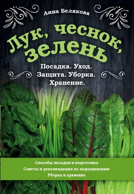 Лук и чеснок порадуют размером! Успейте подкормить в июне