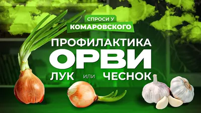 Лук Суворова
