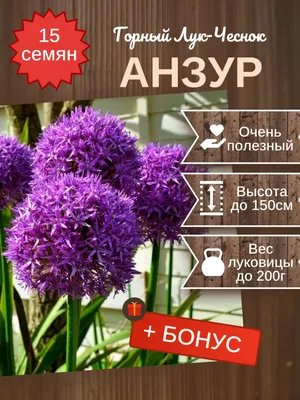 Лук-севок Центурион F1 0,25кг Г.весна 2023г.