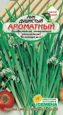 Лук душистый Ароматный 0,5г Р (Сибирские Сортовые Семена) купить в интернет  магазине Хакаскосметика | Хакаскосметика