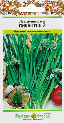 Семена РУССКИЙ ОГОРОД Лук душистый Пикантный 0,5г – купить онлайн, каталог  товаров с ценами интернет-магазина Лента | Москва, Санкт-Петербург, Россия