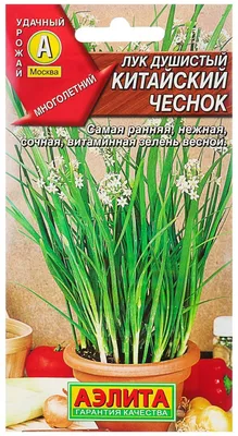 Семена Лук душистый Джусай Агросидстрейд 0,8 г - купить в Москве ✓ |  ТехноСтрой