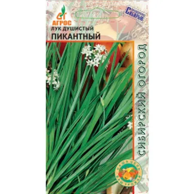 Лук Душистый 0.25 г (ID#1368418785), цена: 6 ₴, купить на Prom.ua