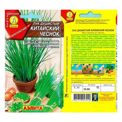 Лук Душистый Каприз – купить семена в интернет-магазине Лафа с доставкой по  Москве, Московской области и России