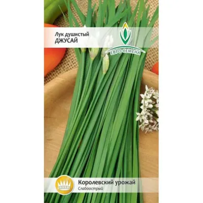 Лук душистый 'Джусай' — описание сорта, характеристики | на LePlants.ru