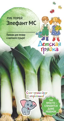 Лук порей Зимний гигант 1г, семена | Купить в интернет магазине Аэлита