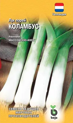 Как посадить полезный «жемчужный» лук