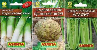 Лук порей 1шт в Москве, цены: купить Зелень с доставкой