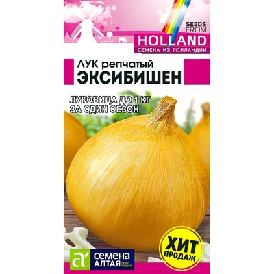 Лук Прочие Товары красный вес – купить онлайн, каталог товаров с ценами  интернет-магазина Лента | Москва, Санкт-Петербург, Россия