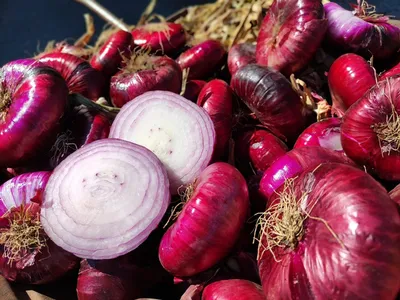 Лук Ялтинский с бесплатной доставкой на дом из «ВкусВилл» | Москва и вся  Россия