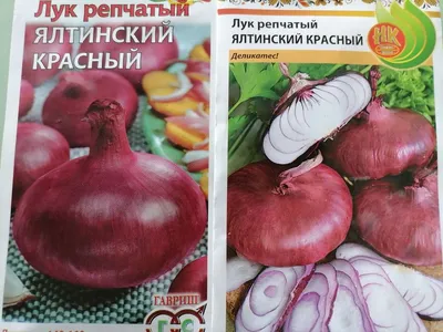 Лук ялтинский - купить за 360.00 грн, доставка по Киеву и Украине, низкая  цена | Интернет-рынок продуктов FreshMart