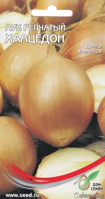 Купить семена Лук Халцедон 1 кг в Волгограде c доставкой по России -  «АгроОнлайн»
