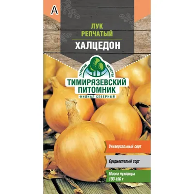 Семена Лук Халцедон однолетний / 1 кг (ID#1445549090), цена: 1150 ₴, купить  на Prom.ua