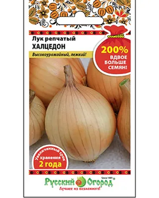 Семена лука Халцедон, 0,5кг: купить оптом, цена 461,70 ₴/упаковка - 7 Соток