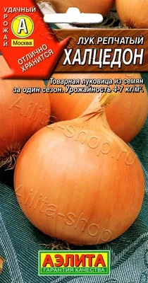 Семена Тимирязевский Питомник лук Халцедон средний 0.5 г Of000096266 -  выгодная цена, отзывы, характеристики, фото - купить в Москве и РФ