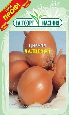 Семена лук репчатый Кольчуга Халцедон Е08301 1 уп. - отзывы покупателей на  Мегамаркет