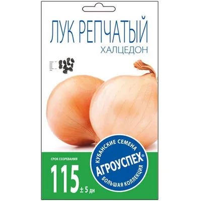 Лук Халцедон 1 г (ID#1994506350), цена: 7.79 ₴, купить на Prom.ua
