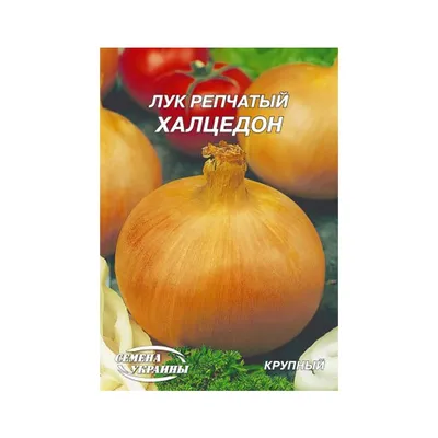 Семена Лук репчатый \"Халцедон\", Гавриш, 1 г купить по цене 53.9 ₽ в  интернет-магазине KazanExpress