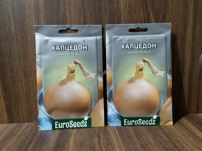 Семена лук Агроуспех Халцедон 1 уп. - отзывы покупателей на Мегамаркет