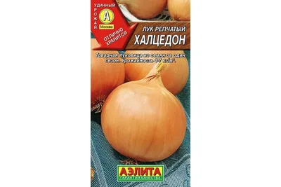 Семена лука Халцедон 1 г, Агролиния - купить по лучшей цене в Одессе от  компании \"💙АГРОЛИНИЯ™💛\" - 456034613