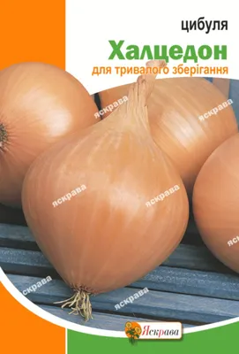 Семена Агроконтракт Лук Халцедон 2г - заказать лучшие с EKO Market