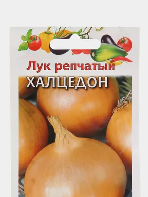 Семена лука репчатого Халцедон 10 г, Империя семян – фото, отзывы,  характеристики в интернет-магазине ROZETKA от продавца: Ділянка | Купить в  Украине: Киеве, Харькове, Днепре, Одессе, Запорожье, Львове