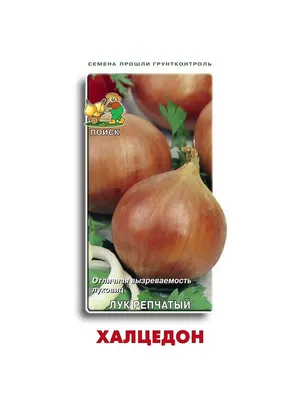 Семена лука «Халцедон» 8 г | от «Best Harvest»