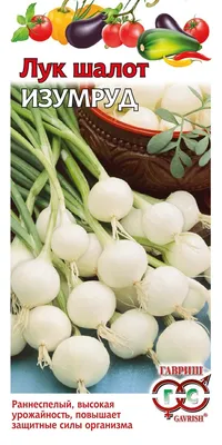 Лук Шалот 0.5 кг. Кущівка, цибуля на зелень: цена 155 грн - купить Семена  на ИЗИ | Украина