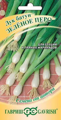 Советы по выращиванию, сроках и глубине посадки лука различных сортов на  блоге интернет-магазина agro-market.net