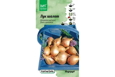 Рокамболь – гигантский лук-чеснок - Бобёр.ру