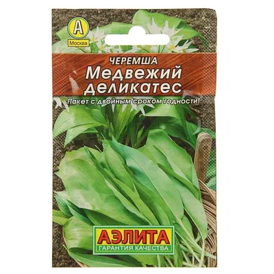 Купить семена Черемша Медвежий деликатес в Минске и почтой по Беларуси