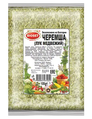 Лук медвежий фото фото