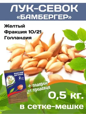 1 Лук севок - интернет магазин - заказ и доставка в Москве,  Санкт-Петербурге, России и СНГ