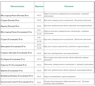 Счастье фермера Лук-севок Бамбергер (Олина) Голландия 0,5 грамм