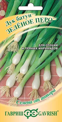 ✓ Семена Лук батун Зеленое перо, 0,5г, Гавриш, Семена от автора по цене 38  руб. ◈ Большой выбор ◈ Купить по всей России ✓ Интернет-магазин Гавриш ☎  8-495-902-77-18