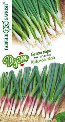 Семена лук Гавриш Белое перо красное перо 1999944877 - отзывы покупателей  на Мегамаркет