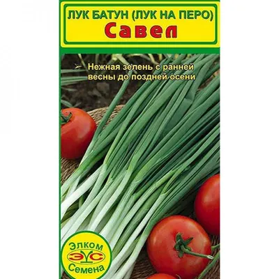 Купить профессиональные семена лука на перо Савел по лучшей цене в Украине!