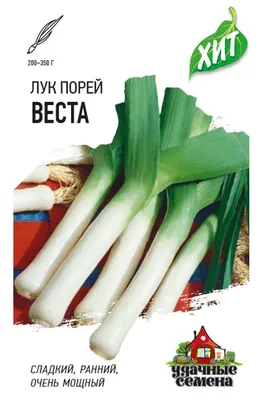 Лук порей