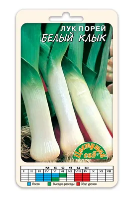 Лук Порей Веста 0,2 гр. серия ХИТ х3 купить оптом в Томске по цене 8,97 руб.