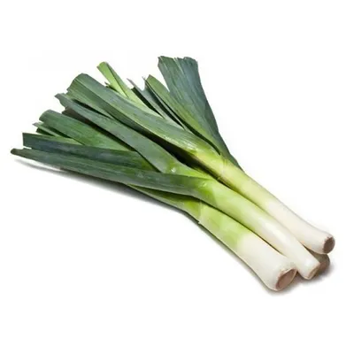 Лук Порей